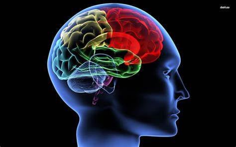 Neuro Energizer